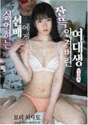 汪汪队动画片全集免费观看 第6季